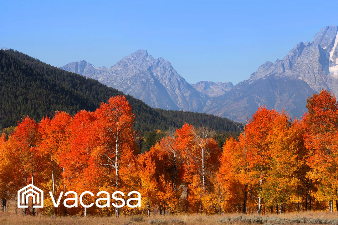 Vacasa-jackson-hole-vacation-rentals-06